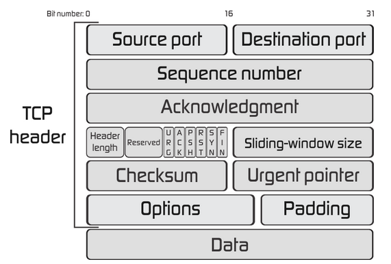 Tcp Transmission Control Protocol Segments And Fields