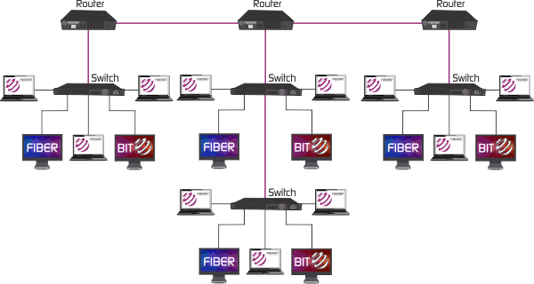 Multiple LAN distributed backbone network